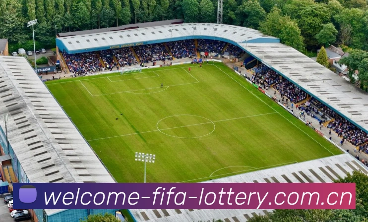 FIFA官方认证